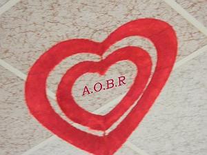 AOBR 2012 02 19 ST VALENTIN A PLAN DE CUQUES (4) PAR GM